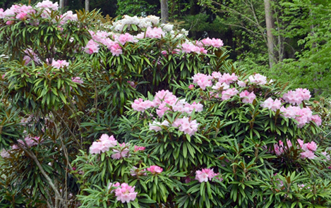 ./img/news/20180428050752_1.jpg1635