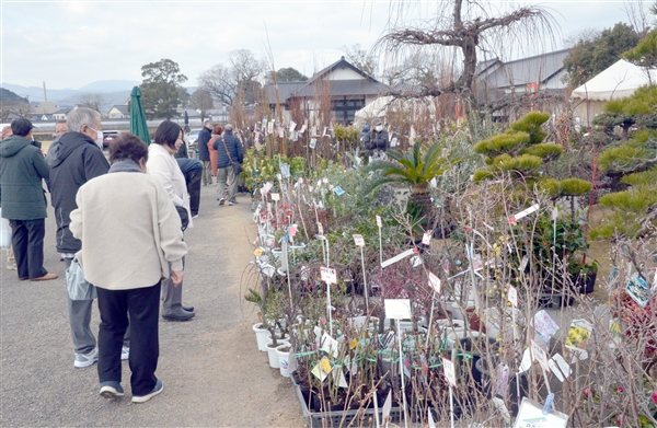 ./img/news/20260202041929_1.jpg8242